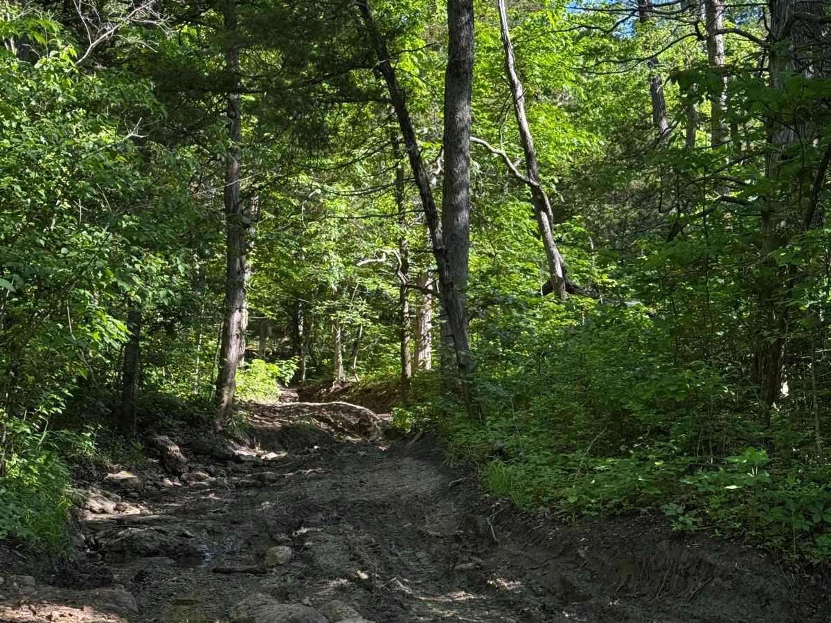 Inner Track 21 photo 3