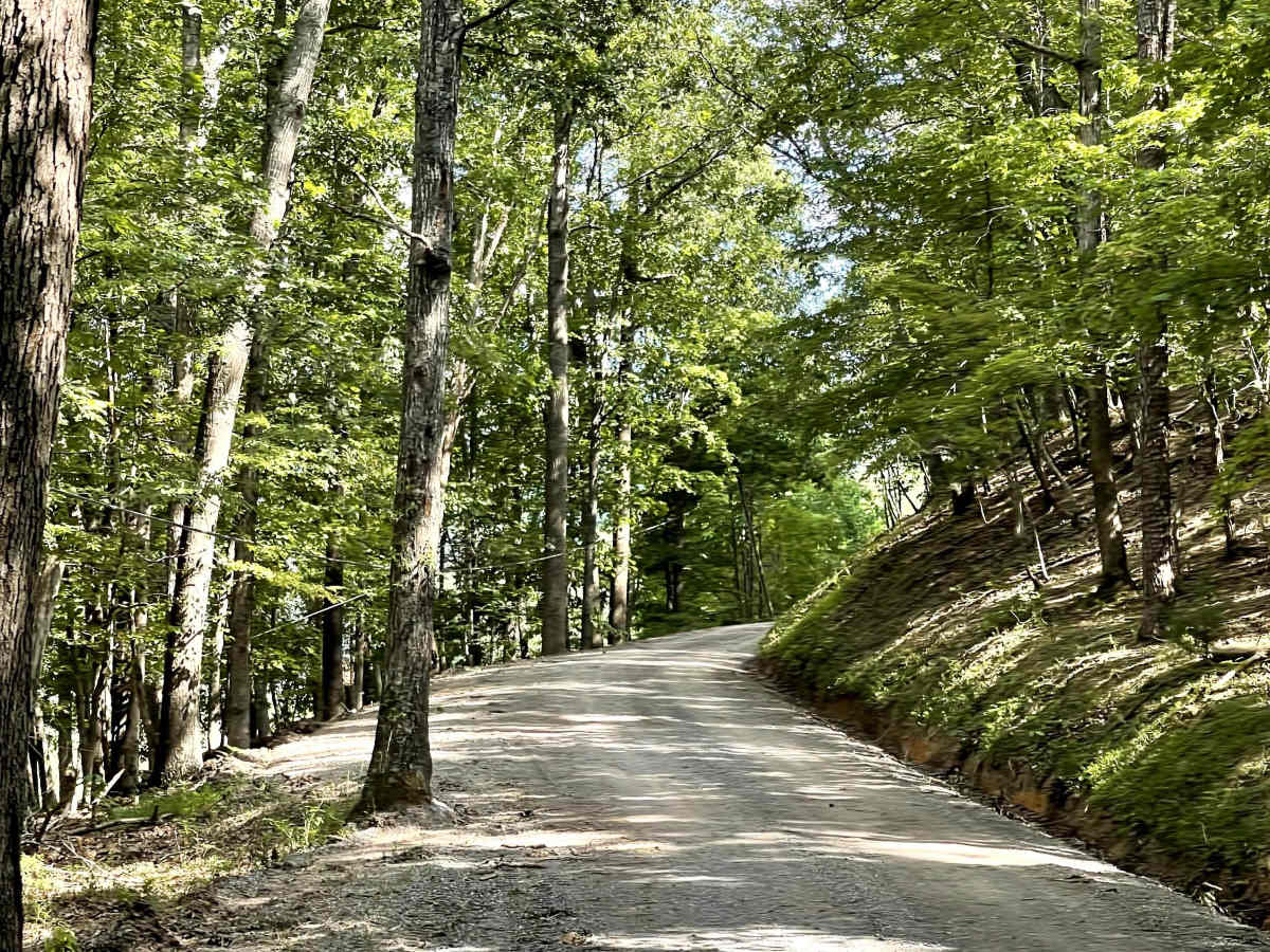 Three Oaks Road photo 2