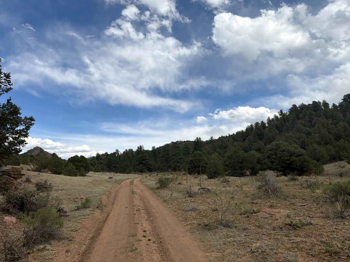 BLM 6220A photo 2
