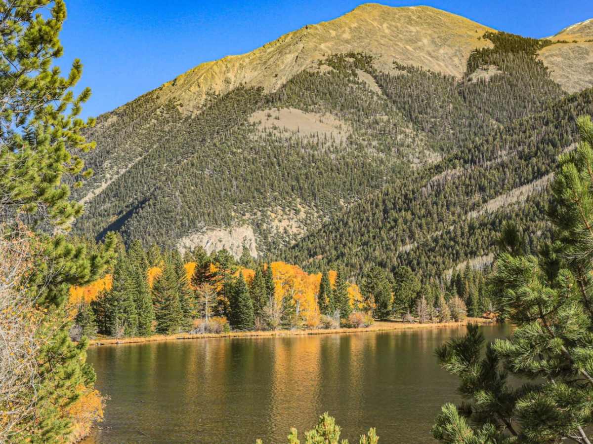 Old Chalk Rd (Co Rd 292) trail photo