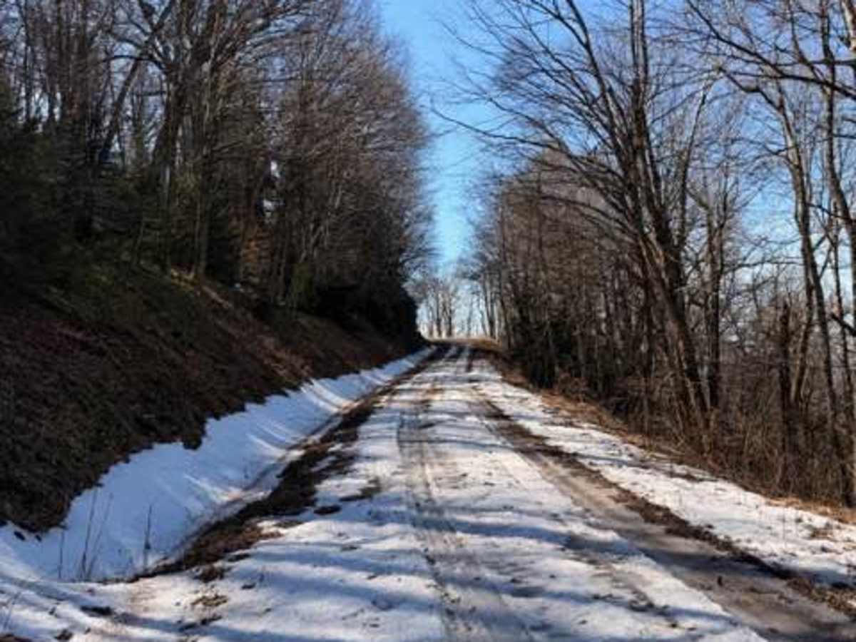 McGowen Mountain  photo 3