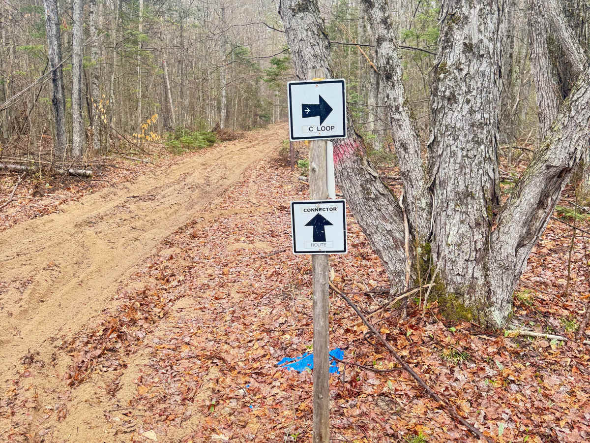 Tomahawk C loop Southeast Leg trail photo