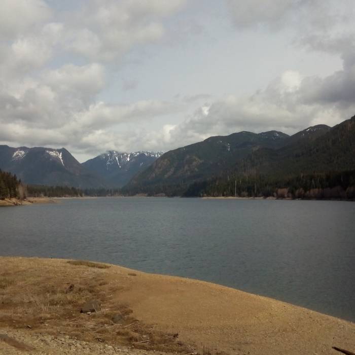 View of Mount Olympus Near Wynoochee Lake Shore Trail