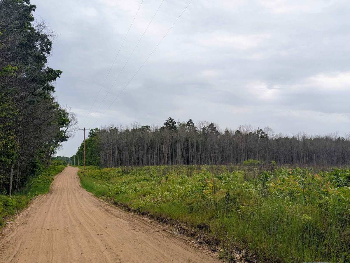 West Higgins Route Section 1 trail photo