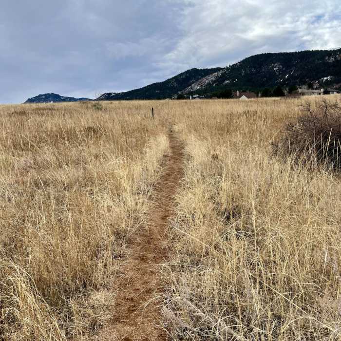 Near Bear Creek, Mountain Scrub, and Yellow Jacket Loop