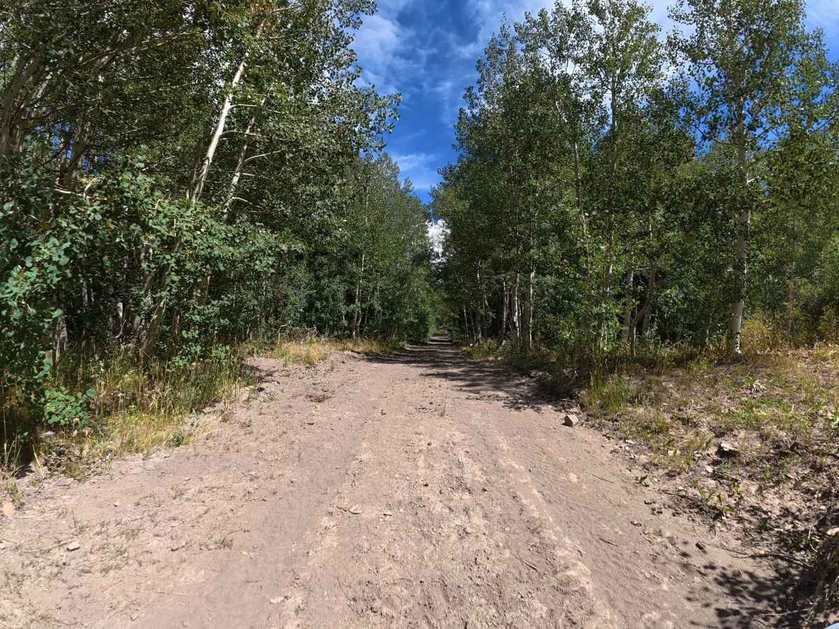 Bear Pen Road photo 3