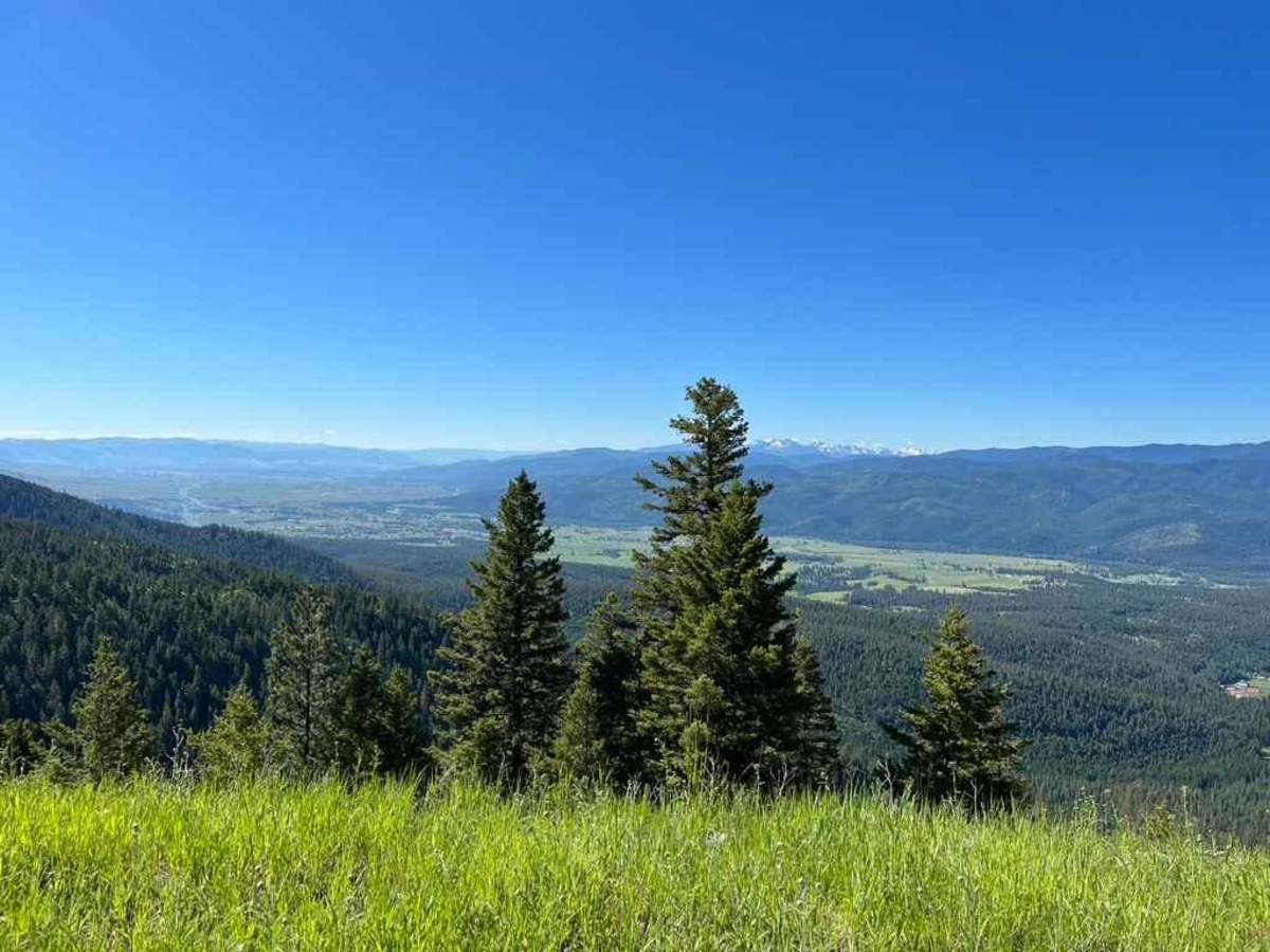 Upper Six Mile 5598 / Main Six West 4223 trail photo