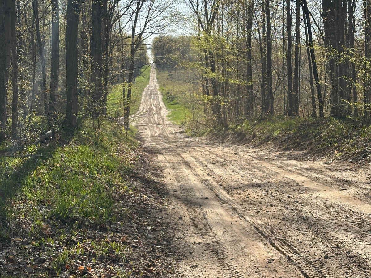 Papoose Lake Road photo 3