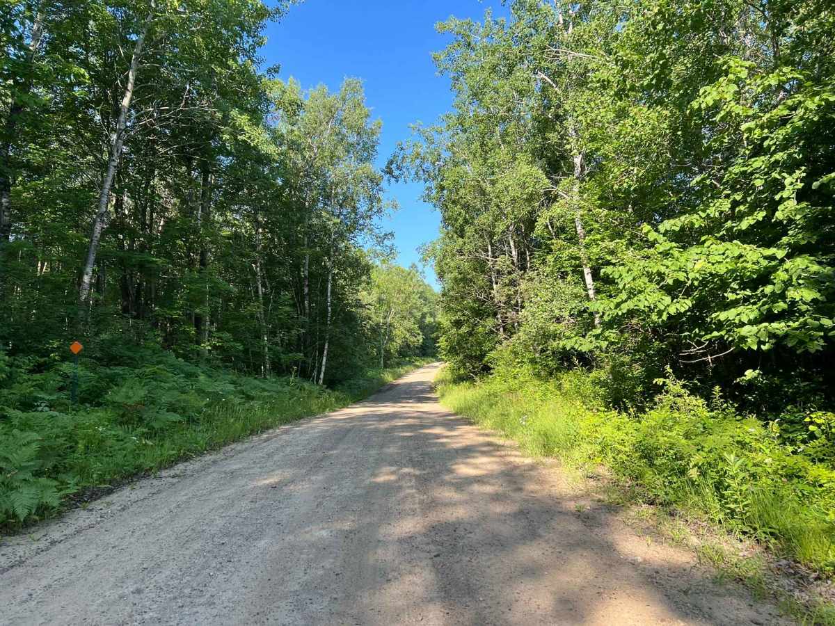 Star Lake Road photo 6