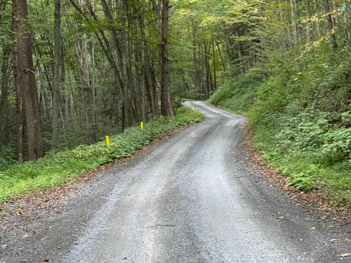 Brown Road photo 4