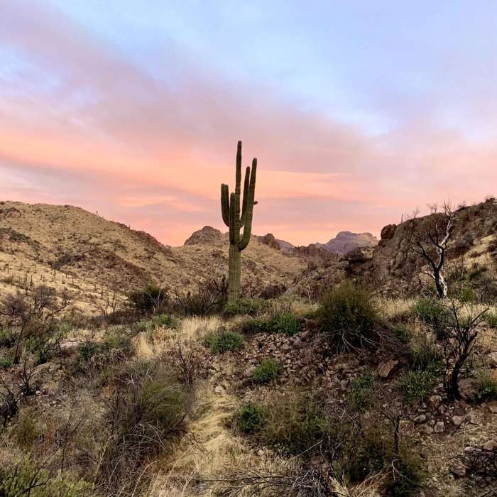 Near Peralta Trailhead to Roger's Trough