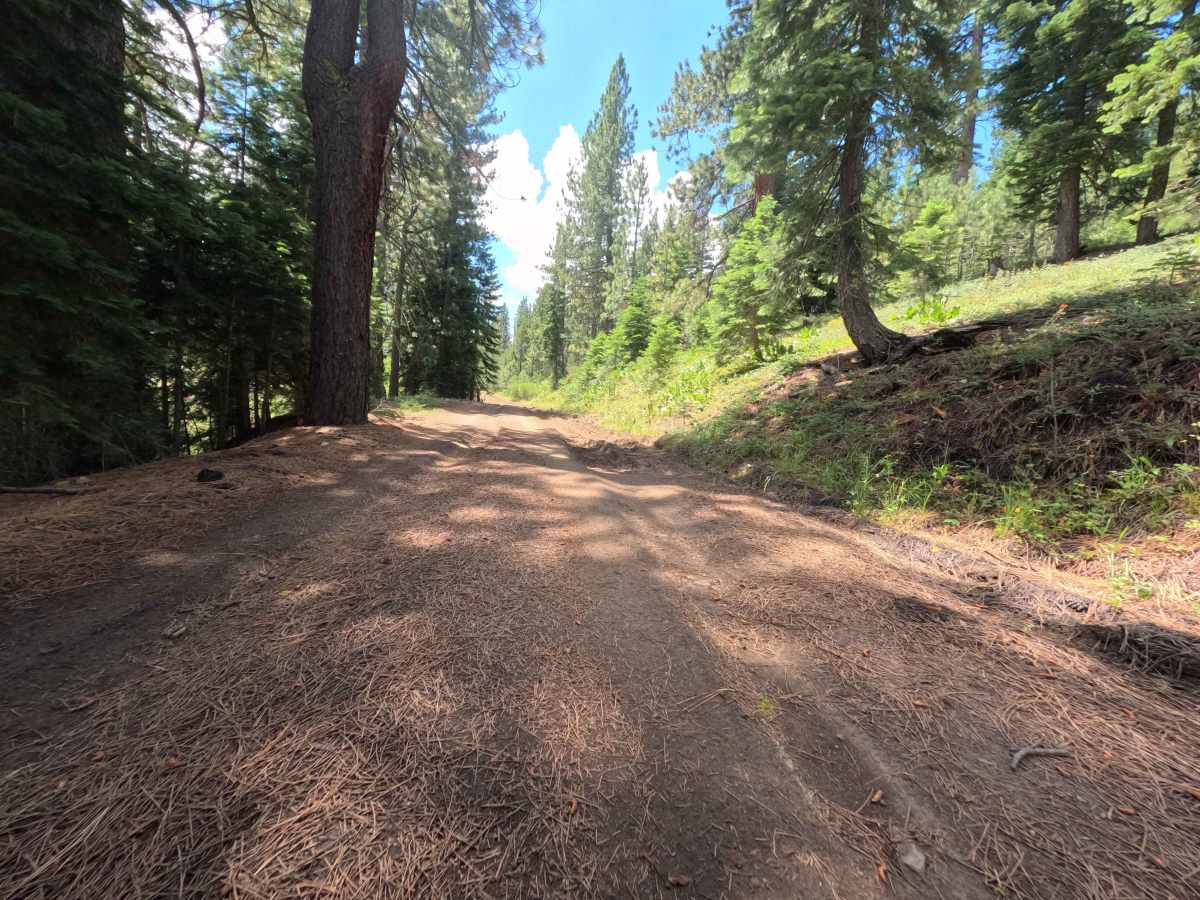 Pole Creek East - FS 5708-002 photo 6