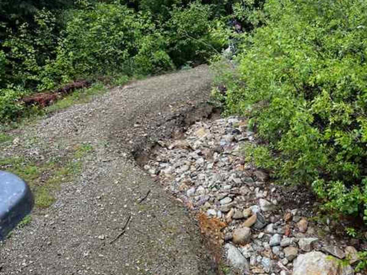 Dixon Mountain trail photo
