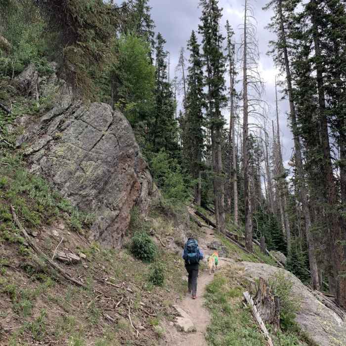 Near West Baldy Trail #94B