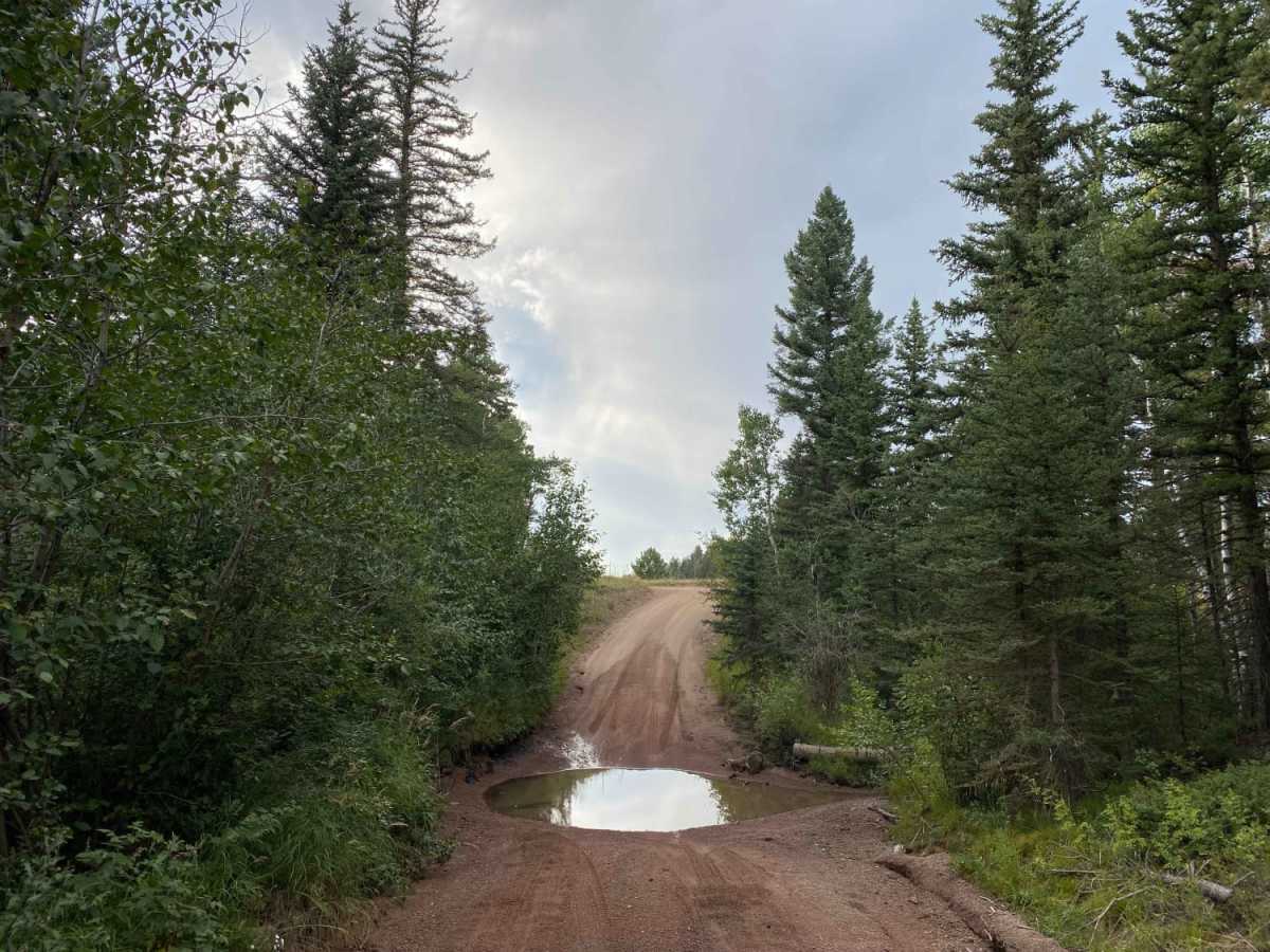 Stony Pass Road photo 4