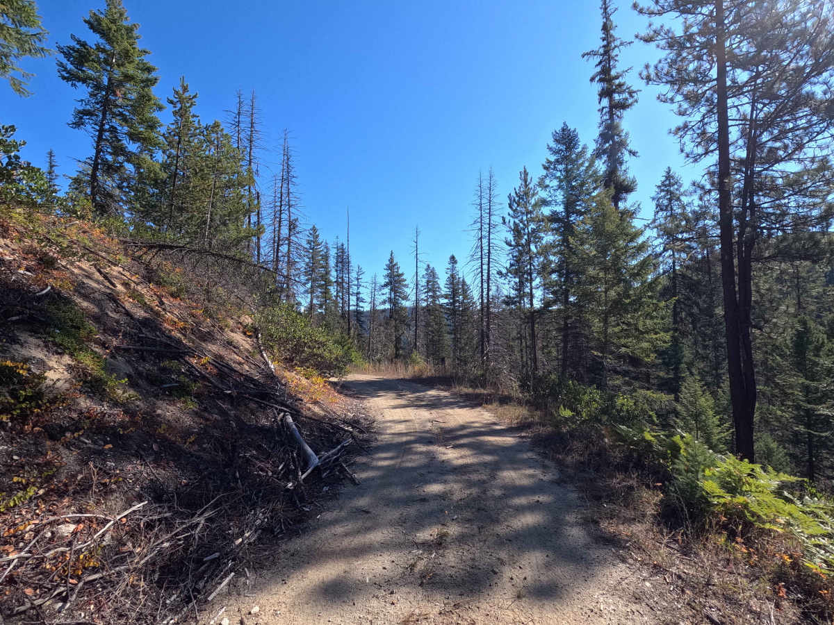 Klahowya Creek N - FS 1075N photo 5