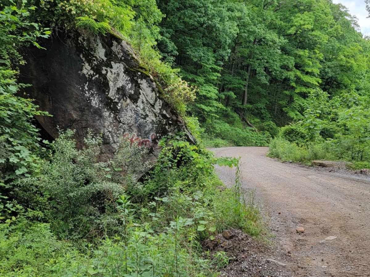 Trail G2 photo 2