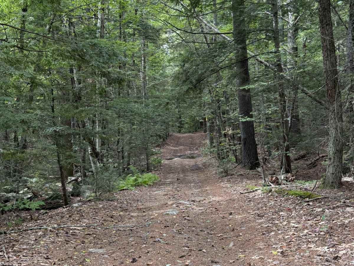 Homestead Road - West photo 2
