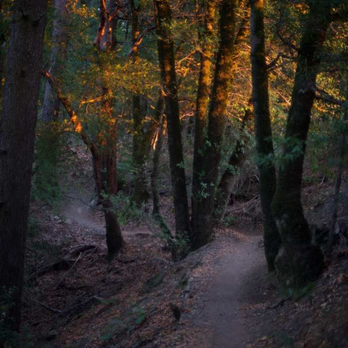 Near Achistaca Trail
