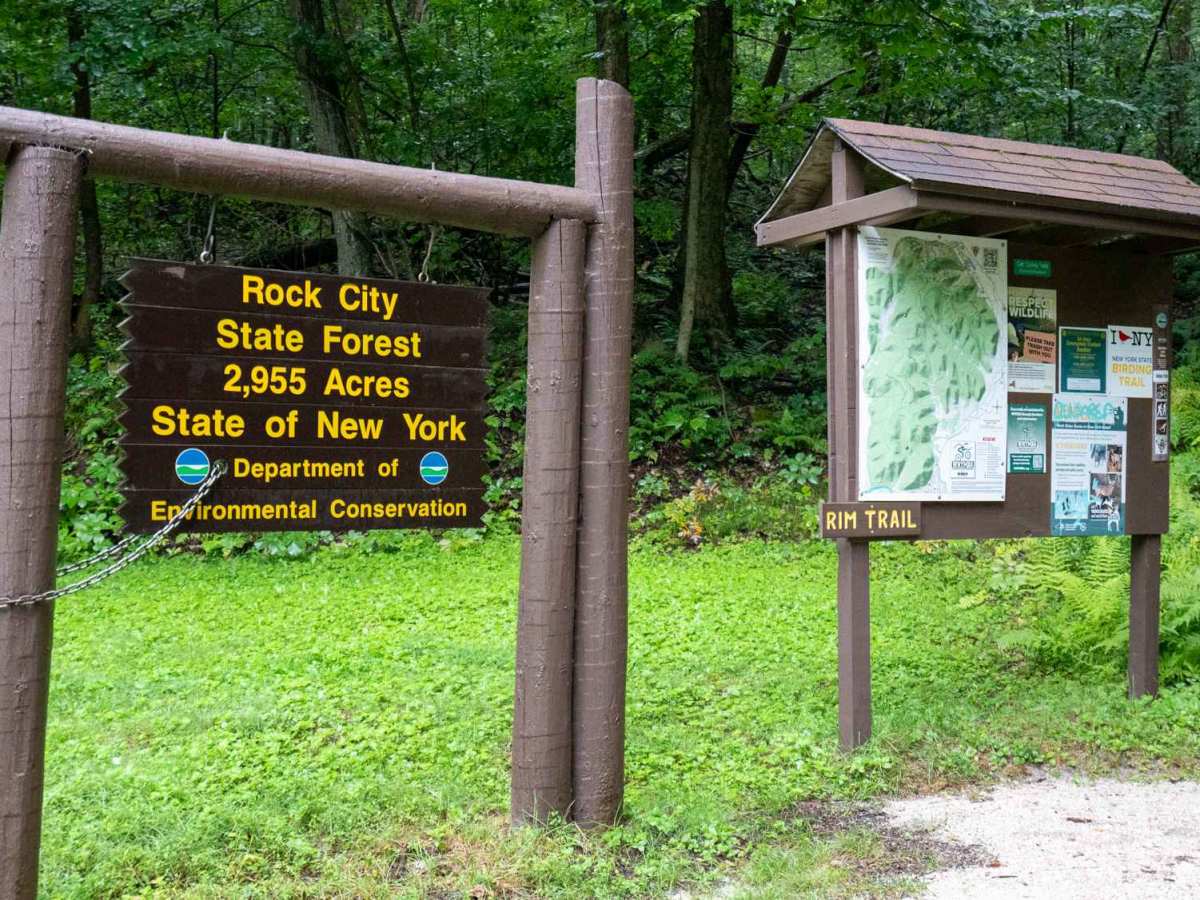 Little Rock City Forest Road photo 4