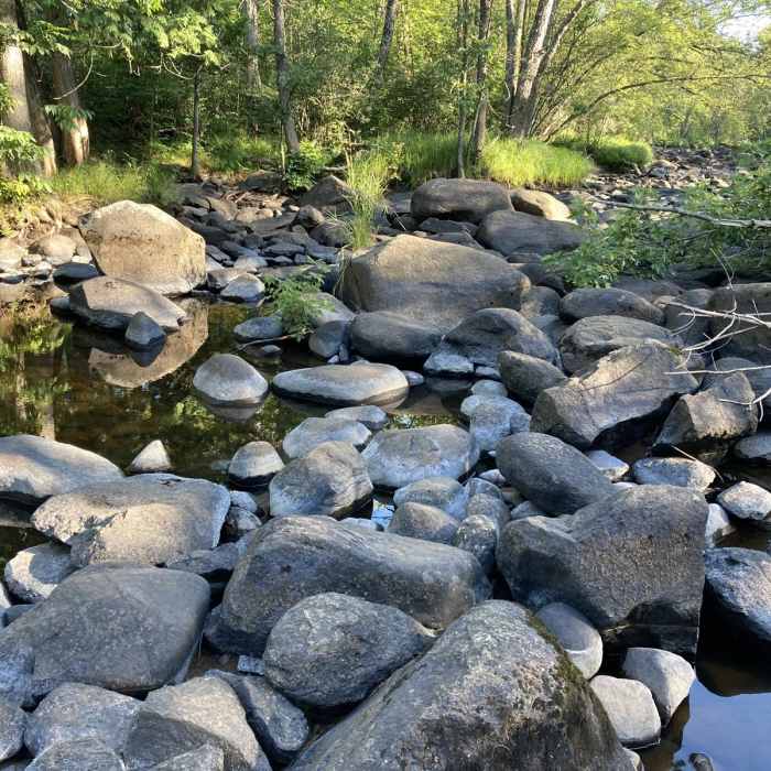 Near Little Falls-Slough Gundy Scenic Area Trail Near Little Falls-Slough Gundy Scenic Area Trail
