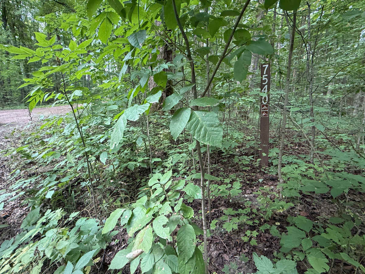 FS 7540 trail photo