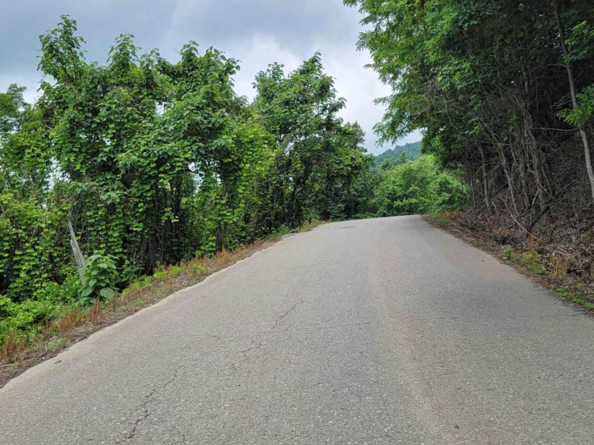 Trail P1 photo 5