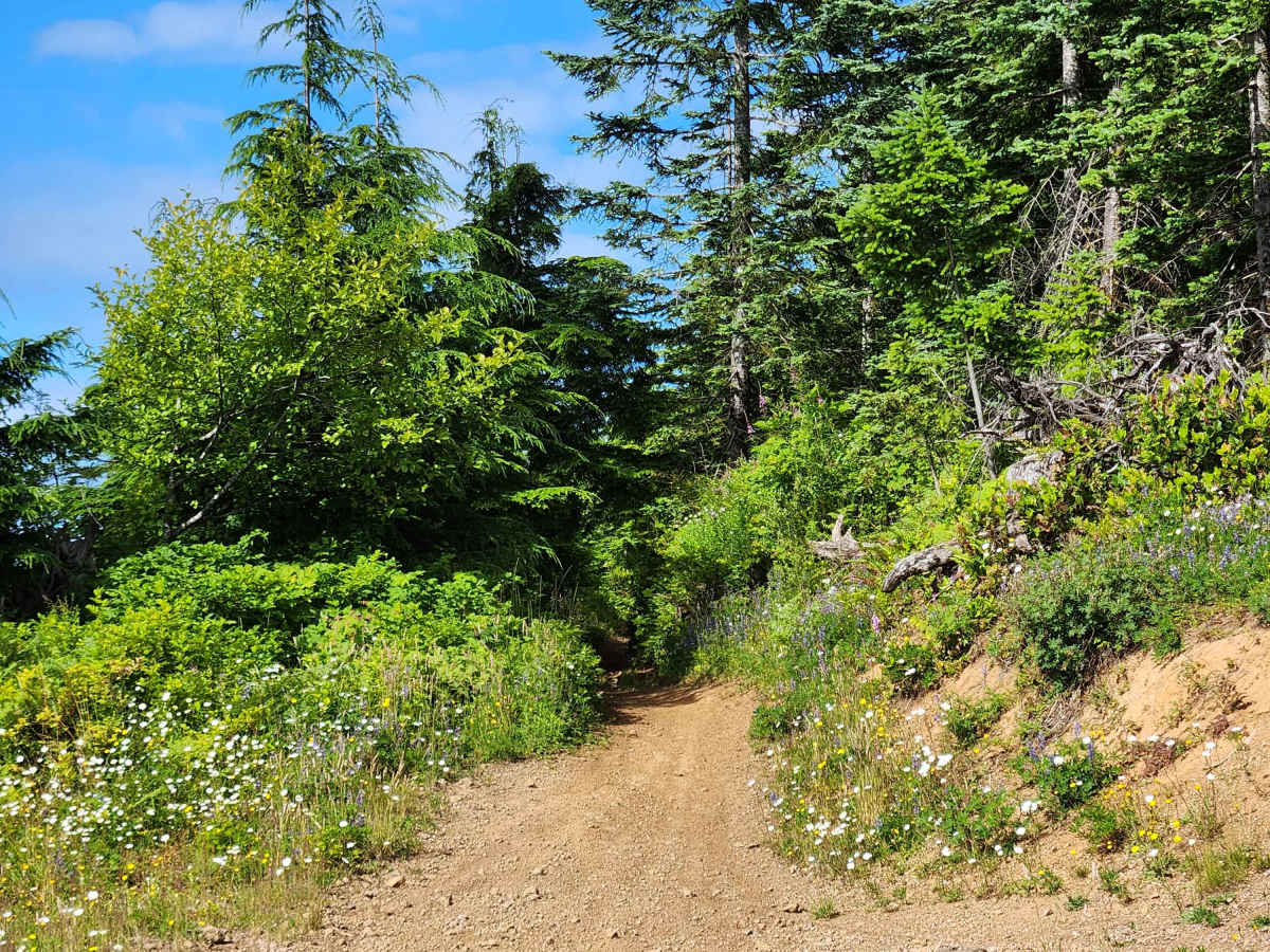 Capitol Peak photo 3