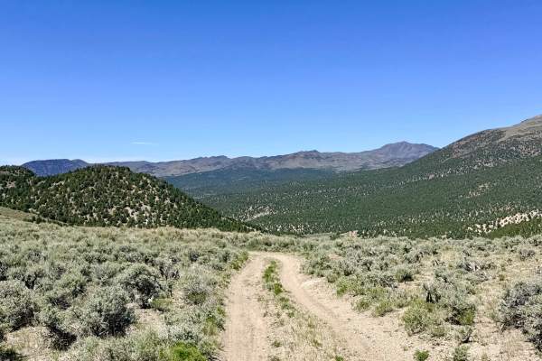  Brock Canyon - FS 43292