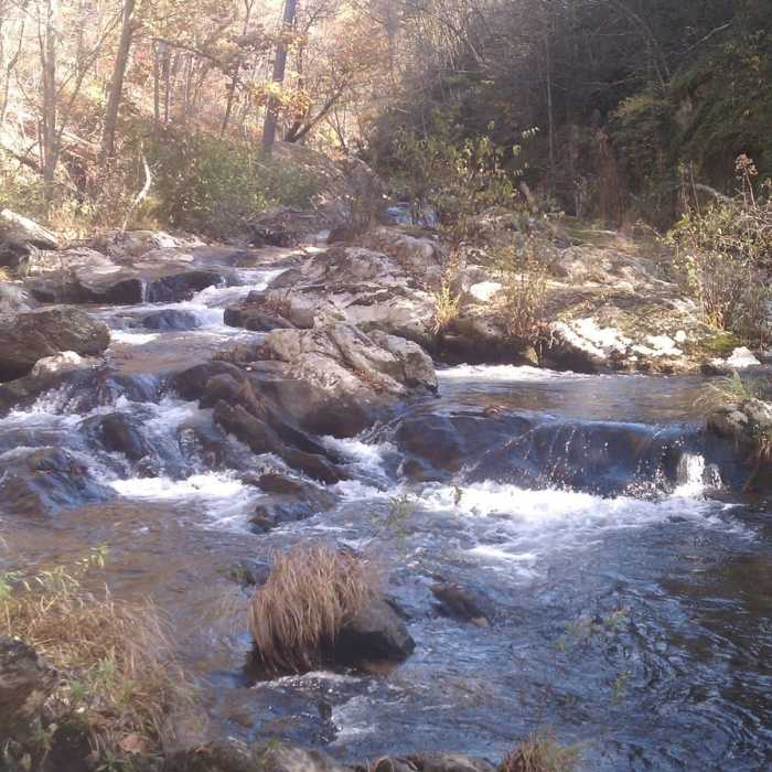 Near Bottoms Creek Gorge
