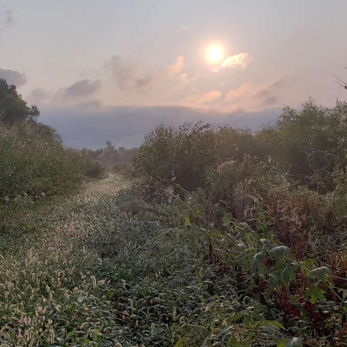 Near Western Pool Loop