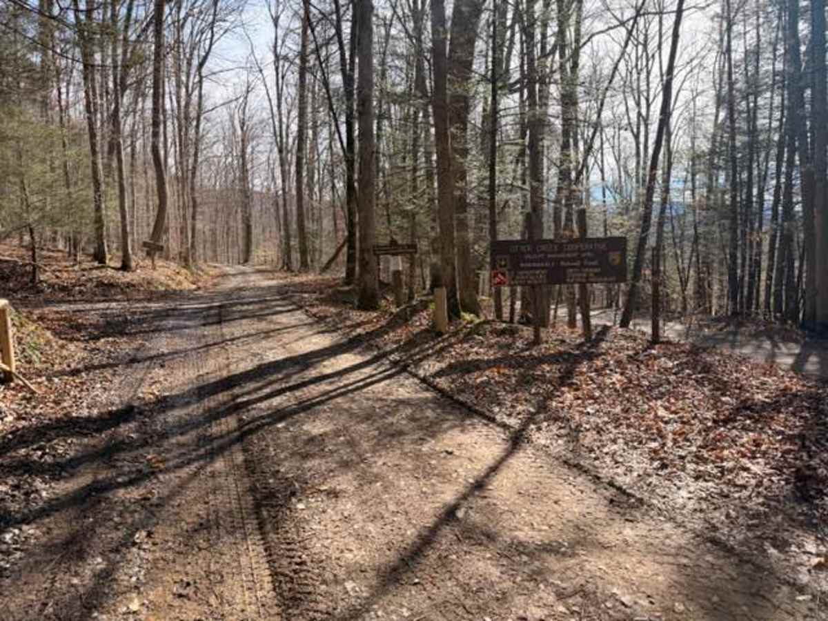 Sugar Camp  trail photo
