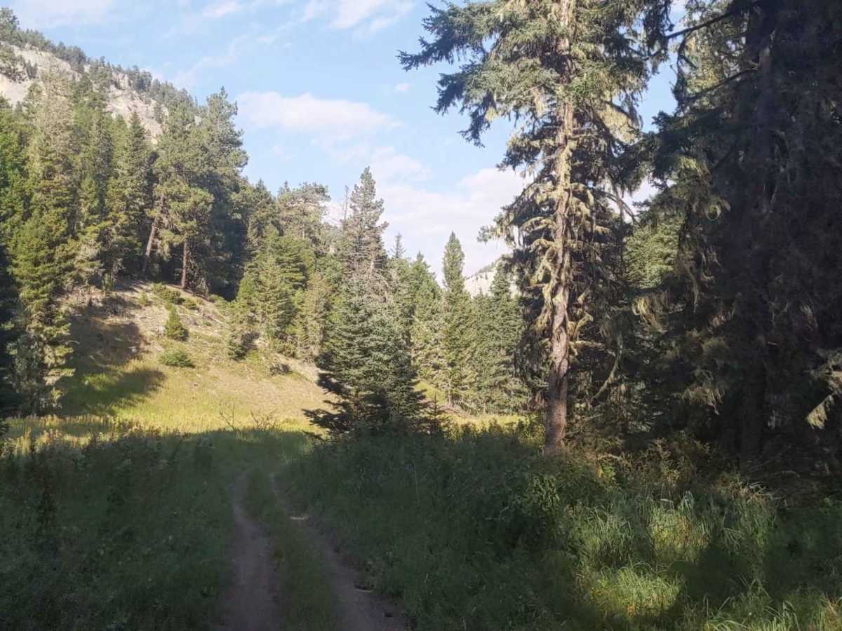 Hay Canyon Trail trail photo
