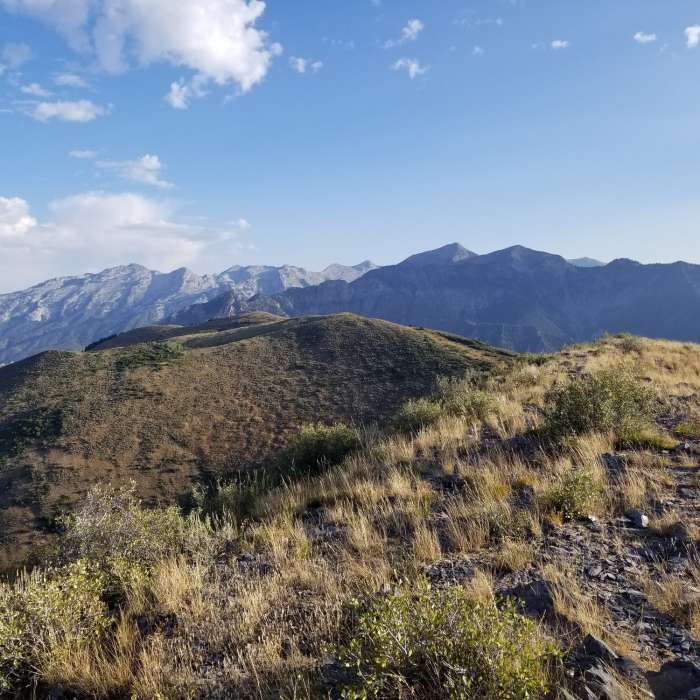 Near Mahogany Mountain Trail