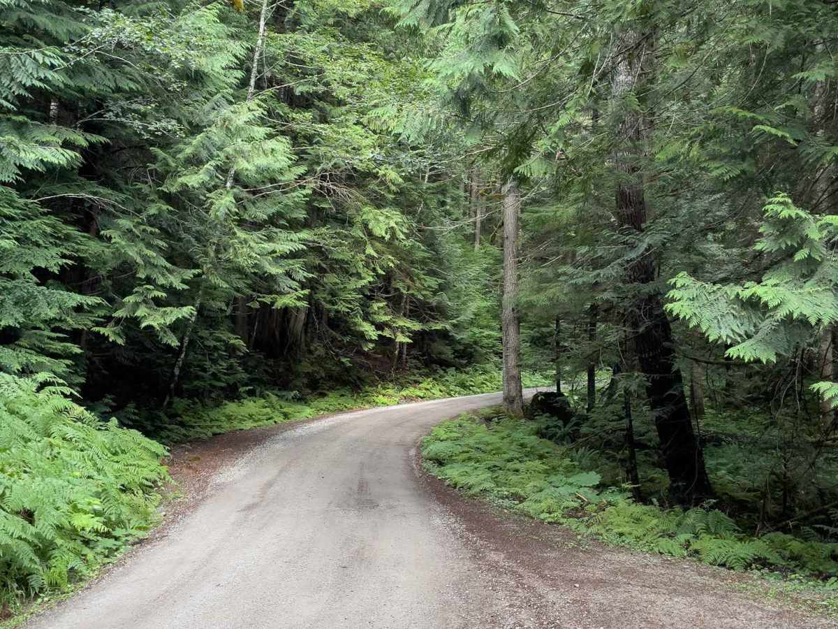 Hannegan Road trail photo