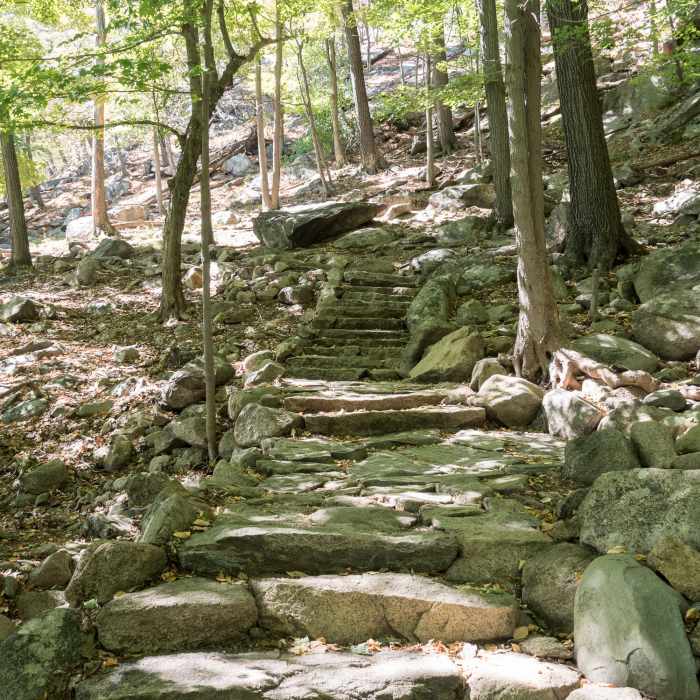 Near Major Welch Trail