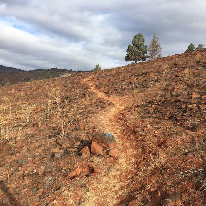 Near Kah-Nee-Ta Tour