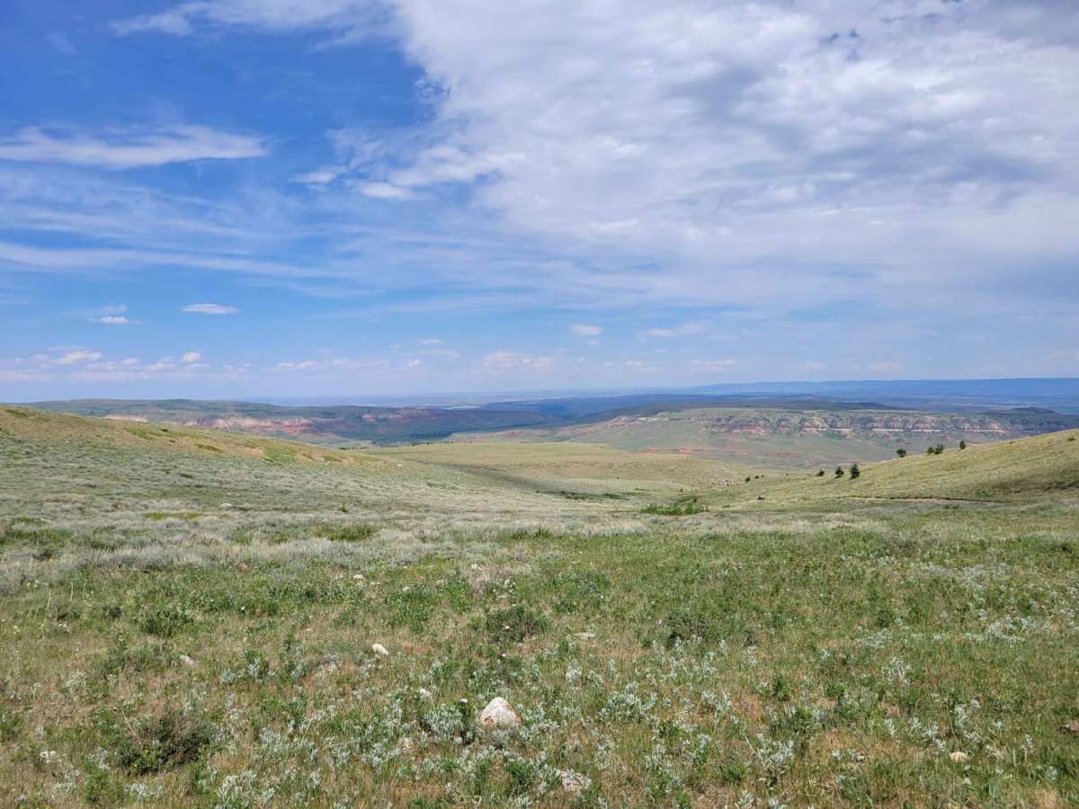 Sheep Mountain photo 2