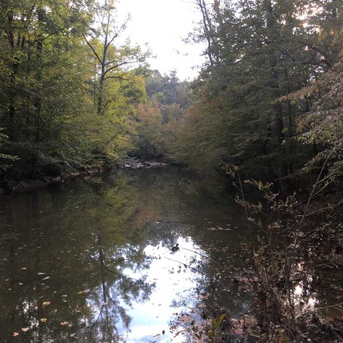 Near Duke Korstian Loop