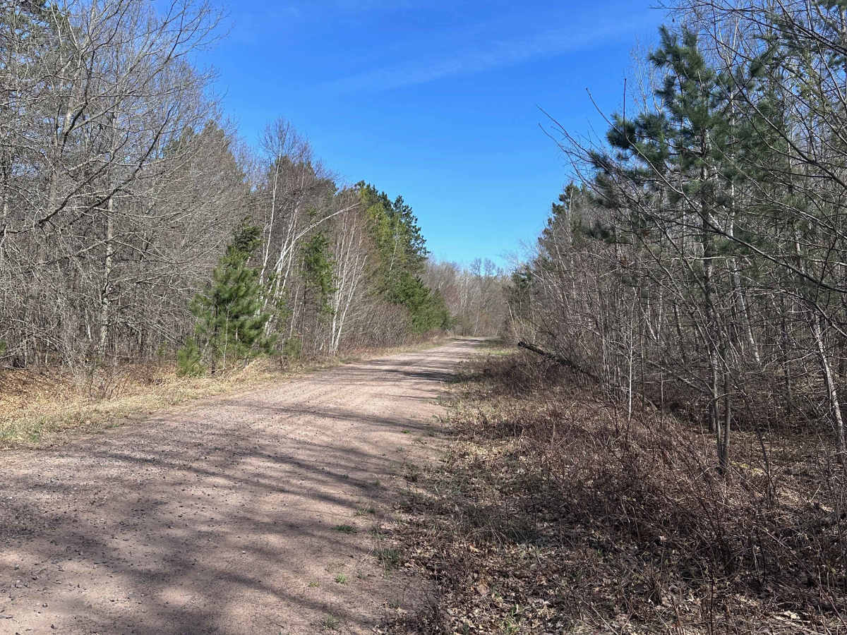 Mallard Lake Forest Road photo 6