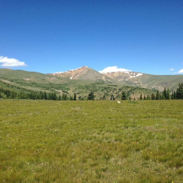Near Red Cone Whale Peak Adventure Loop