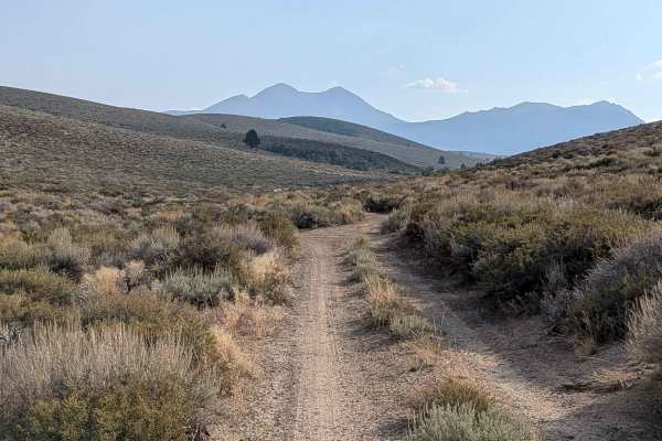 Dog Creek Valley