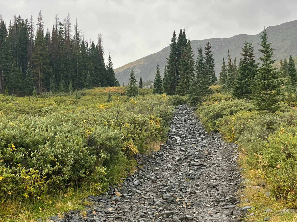 Old Tin Cup Trail photo 4