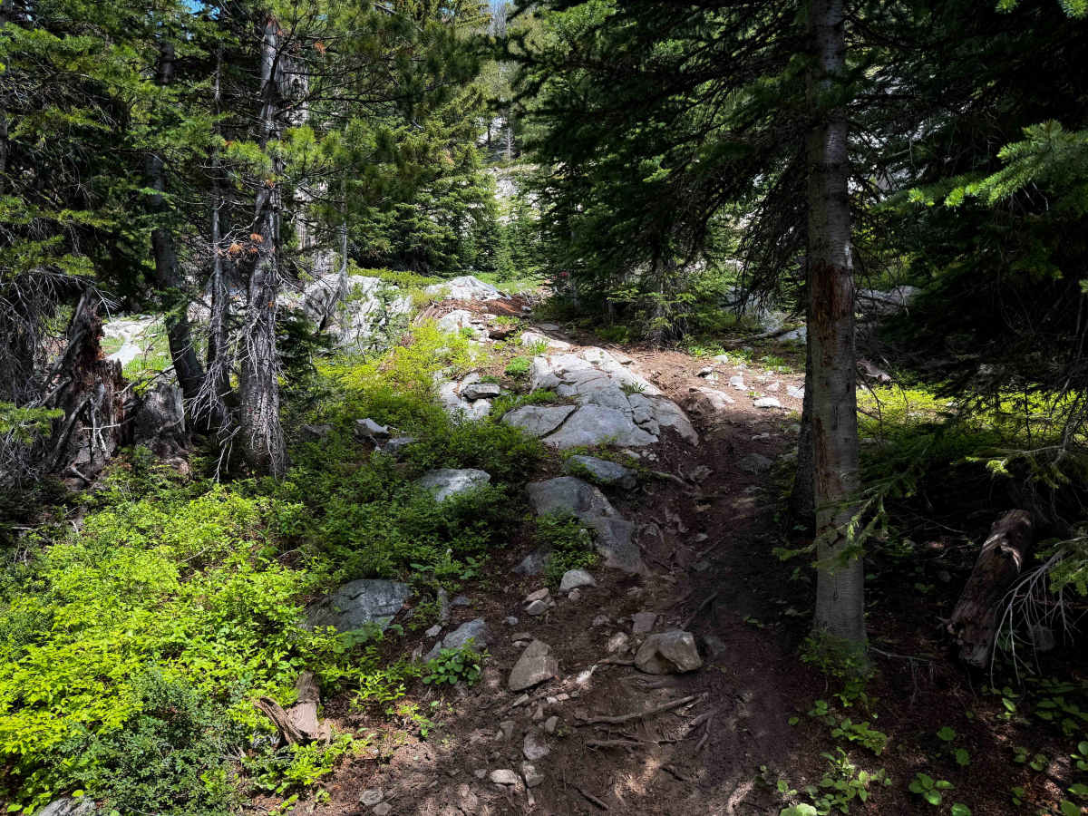 Foggy Dew Ridge - 438  photo 3
