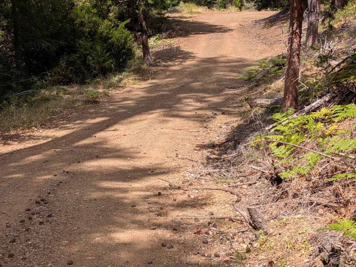 Lost Road - FS 2N46 photo 3