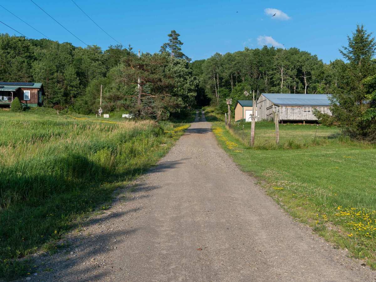 Fitch Hill Forest Road photo 6