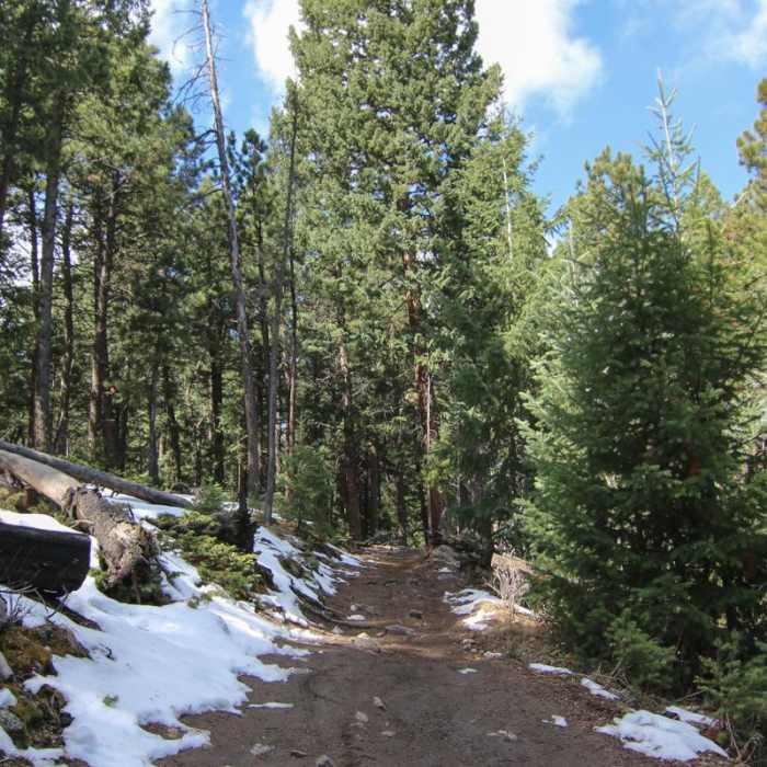 Near Alderfer/Three Sisters Park Loop