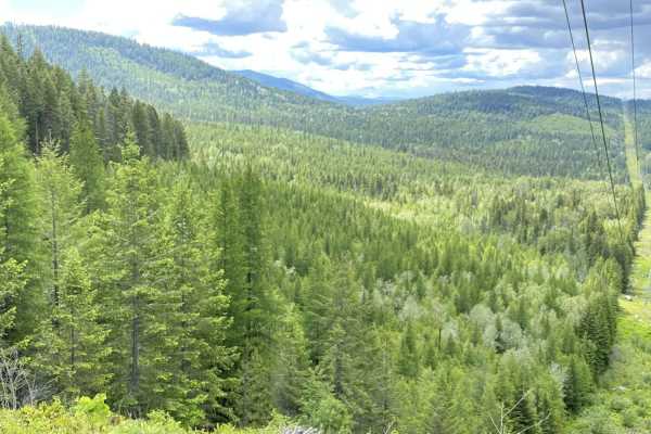 Smackout Pass