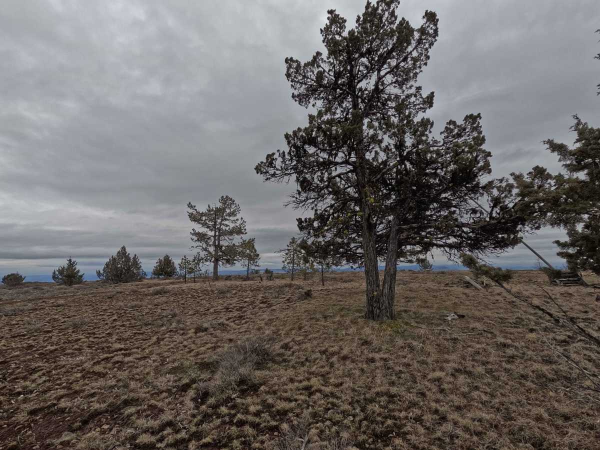 Wheeler Point Lookout Trail photo 6