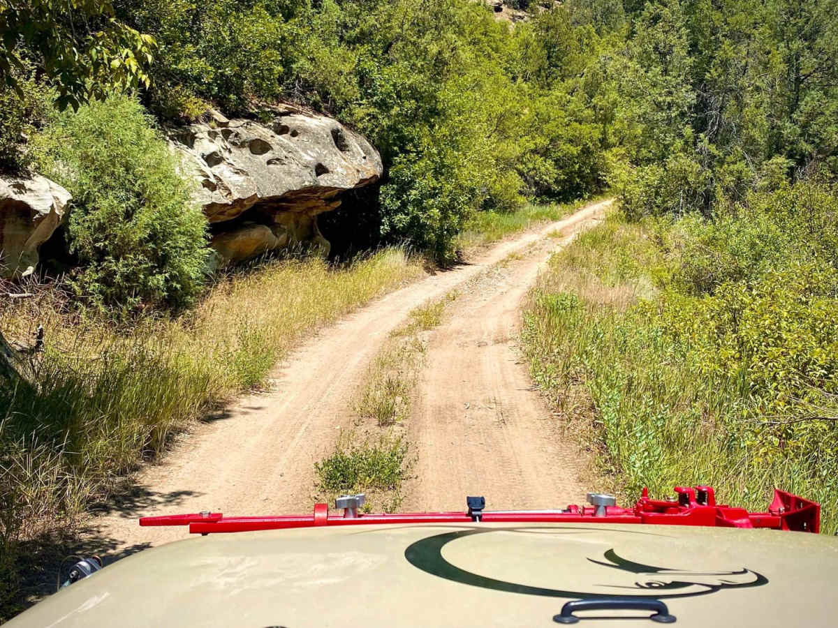 Devil Creek Wildlife Management Area-Fr Rd 627 photo 5